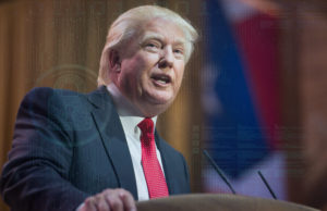 Trump Sex Scandal is Just RAT Menace trump backs away from working with russia on cybersecurity