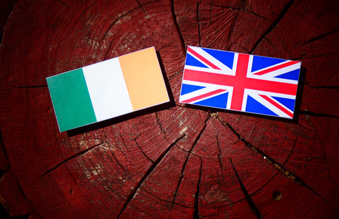 Irish expert calls for Anglo-Irish cyber taskforce