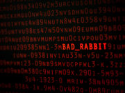 ‘BadRabbit’ malware hits Ukraine, Russia, and other nations: Reports BADRABBIT