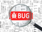 Bug Bounty Programs: Closing Security Gaps Bug, vulnerability, zero-day
