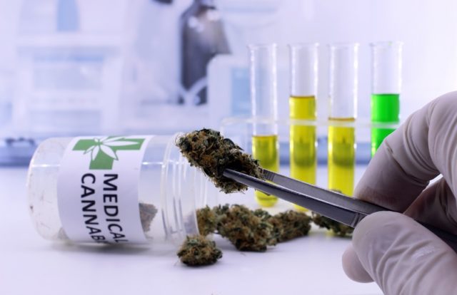 Medical Cannabis Users Suffer Data Breach