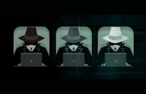 Different Types of Ethical Hackers: White, Black, and Grey Hats Explained types of ethical hackers