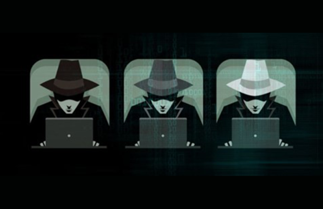 types of ethical hackers