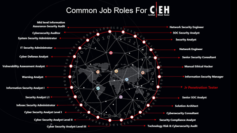 common job roles for CEH